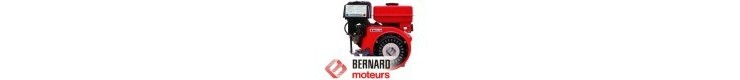 Pièces détachées pour Moteur Bernard type W112C/112TER