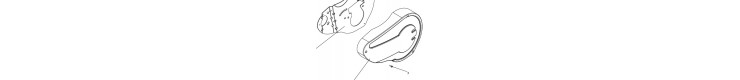 Guidon