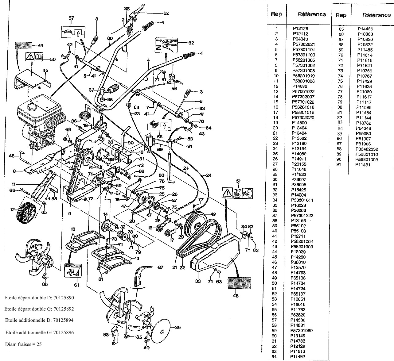 CELLULE