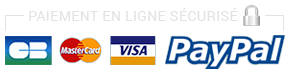 Paiement en ligne sécurisés